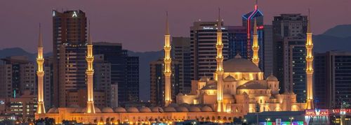 How Abu Dhabi Airport Free Zone Handles Cargo And Courier Companies